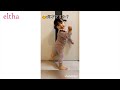 【かわいい赤ちゃん＆子ども】TWICEが大好きな1才児の全力ダンスに120万再生「反則級の可愛さ」