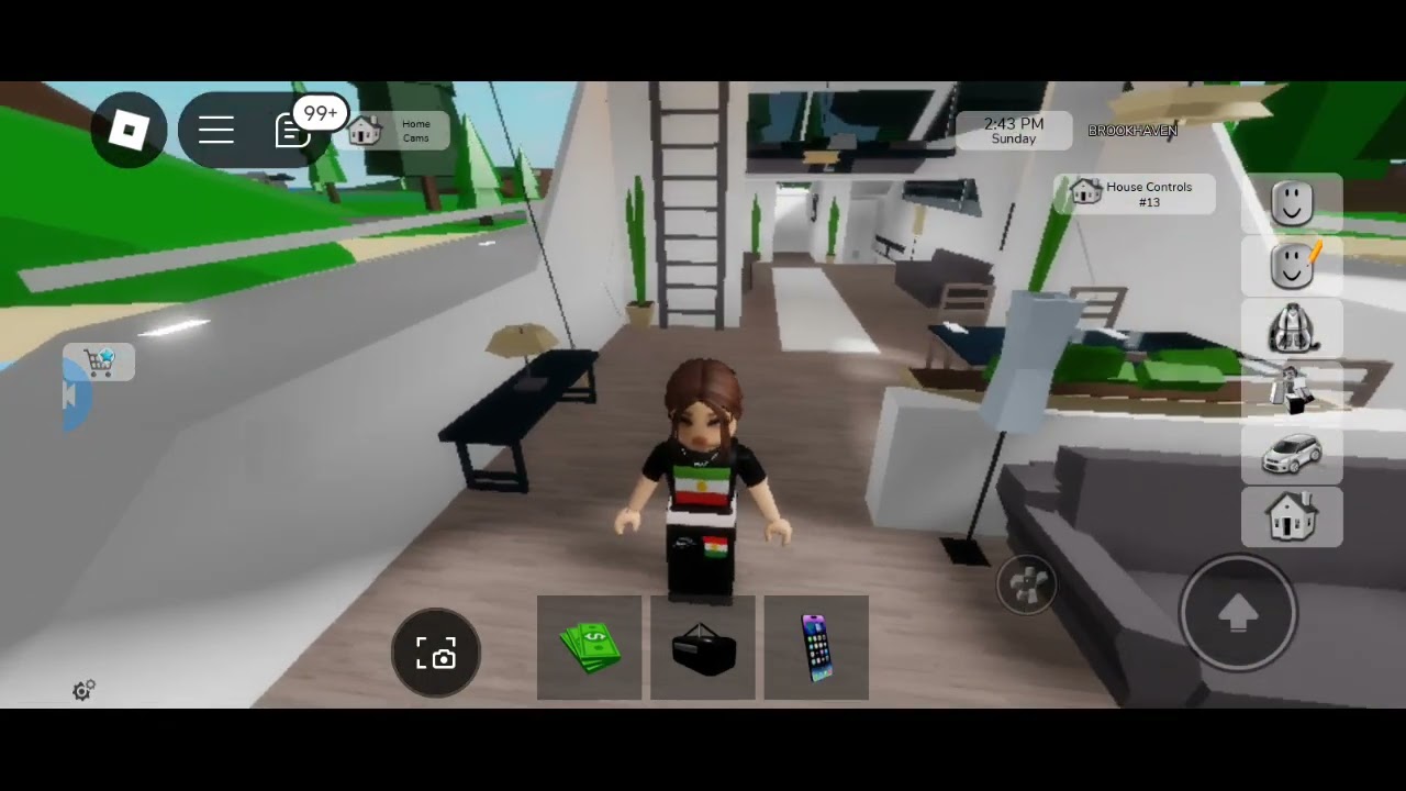 فیدیۆی سەیران