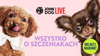 JOHN DOG LIVE: Wszystko o szczeniakach