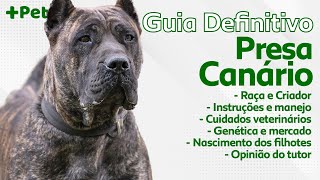 GUIA DEFINITIVO DE PRESA CANÁRIO! | CANAL MAIS PET