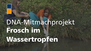 Frosch im Wassertropfen: Ein Mitmach-Projekt für Amphibienschutz