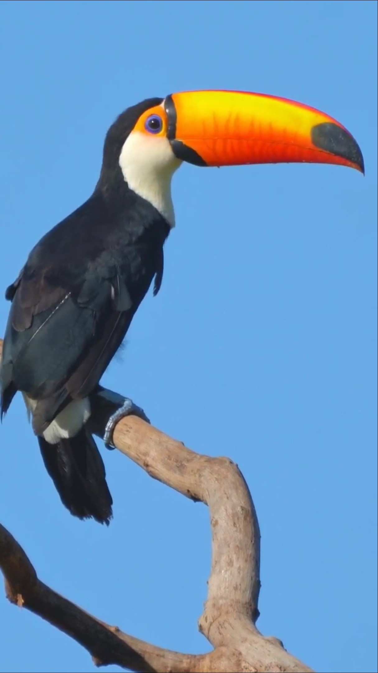 📑முக்கியமான வாட்ஸ்அப் தகவல் - ShareChat