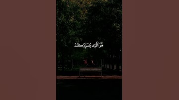 { إن الله لا يخفى عليه شيء في الأرض ولا في السماء } القارئ عبد الرحمن مسعد | سورة آل عمران
