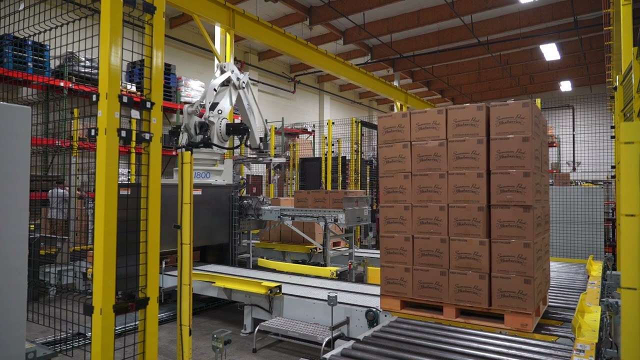 CDLR Load Conveyor w Pop Up Transfer 3