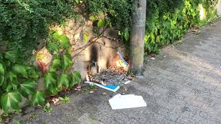 Img6725 13092023 An Meinem Elternhaus Wurde Diese Wahlplakat Abgefackelt