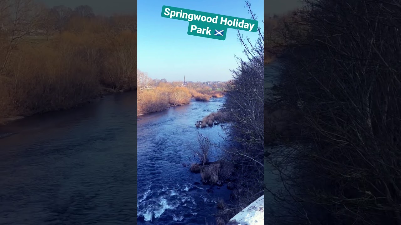 Holiday Bliss - Springwood a riverside park 😇 