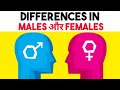 MALE VS FEMALE PSYCHOLOGY | Differences in personality and behavior | Psychology in Hindi