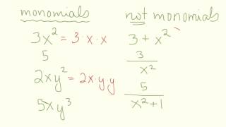 What is a monomial