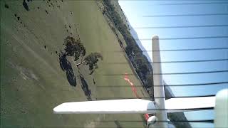 Esky Eagles or Eyas with bixler chasing