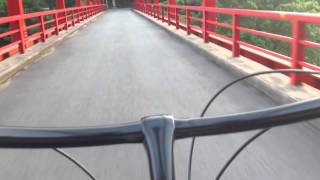 レインボー ビーチクルーザー 走行動画 自転車