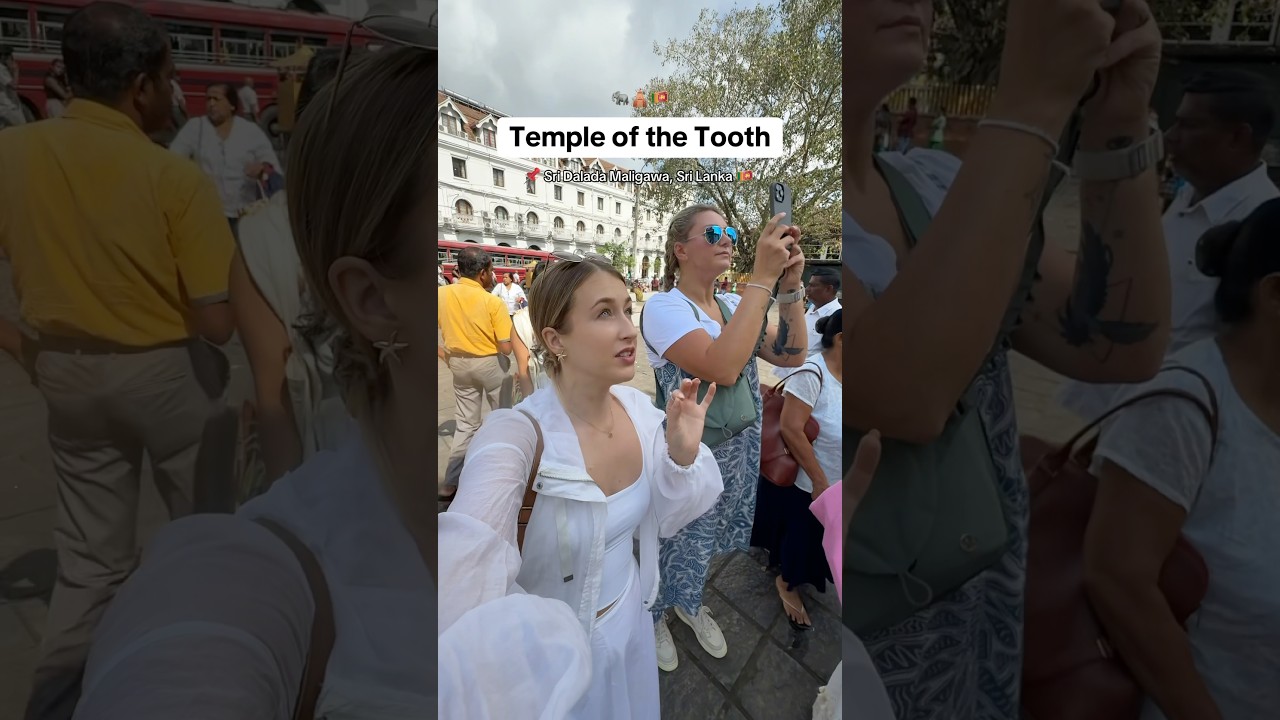 они построили целый храм ради одного ЗУБА? 😳