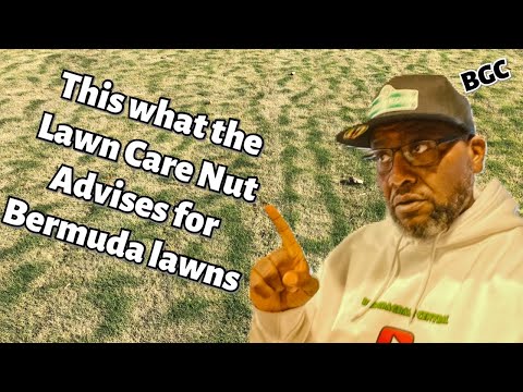 Video: Bermuda Grass Care - Lub Tswv Yim Kom Loj Hlob Bermuda