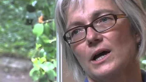 Palliative Care: Improving Quality of Life for People with Serious Illnesses