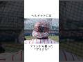 【ホージー】ただの陽気な助っ人ではなかった #プロ野球 #東京ヤクルトスワローズ #野村克也 #高津臣吾 #古田敦也