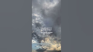 سورة الإخلاص 💚🌿