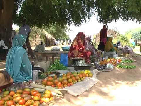 احمد المهدي جوه طوال الخضراء