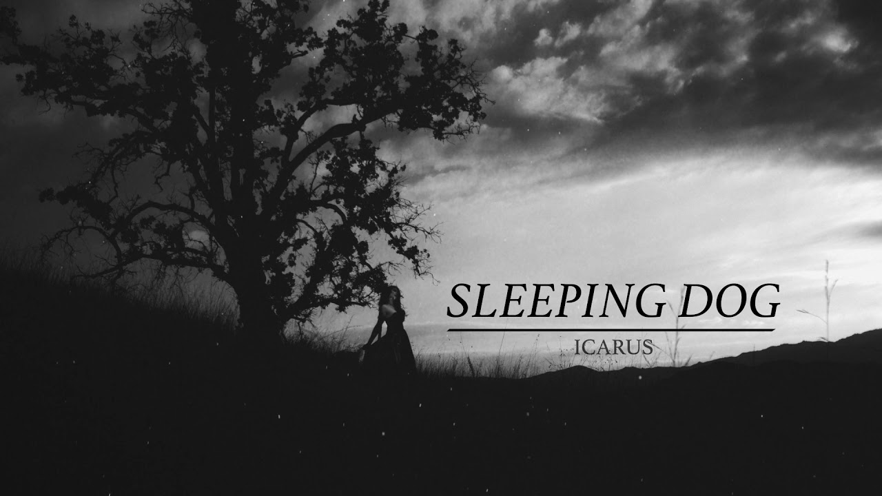 Watch Sleeping Dog - Icarus on YouTube Watch Sleeping Dog - Icarus on YouTube