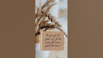 #تلاوة_خاشعة #quran #ياسر_الدوسري #trending #اكسبلور #اسمعنا #لايك #quran #duet #فولو