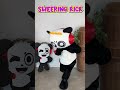 Learn Kung Fu Panda Kicks  #combopanda #kungfupanda