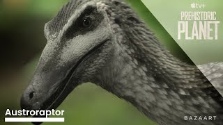 PREHISTORIC PLANET SEASON 2 | AUSTRORAPTOR SCREENTIME