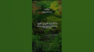 سورة النمل #ماوراءيات #اكسبلور #اكسبلور #دويتو #دويتو #duet #المصحف #الرحمن