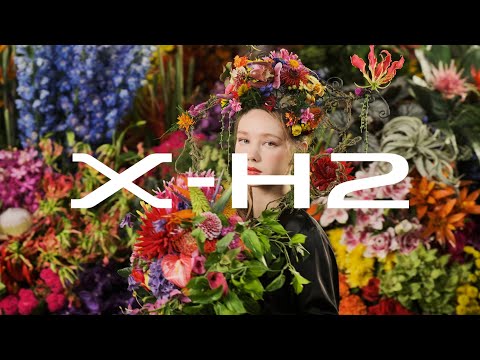 [8K] FUJIFILM X-H2 Promotional Video/ FUJIFILM