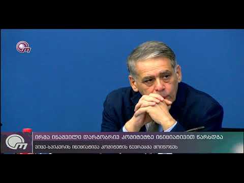 ირმა ინაშვილი დარგობრივ კომიტეტზე ინიციატივით წარსდგა