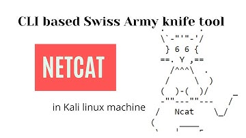 Netcat - Port scanning Banner Grab Port listening Transfer files - Reverse (Backdoor) Shells
