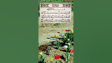 سورة الشرح | حسن الواجدي ❤️💟#سورة_الشرح #القرآن_الكريم #تلاوة_خاشعة #قرآن_كريم #تلاوة_هادئة #قرآن ☪️