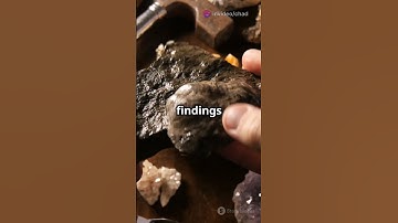 The First Paleontologist  Unveiling Earth ancient secrets