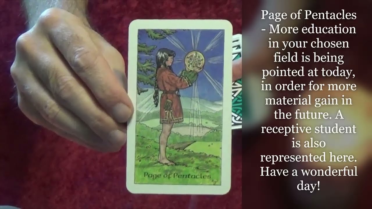 Secret Daily Tarot Reading for 11-24-25 Today's deck: The Robin Wood Tarot