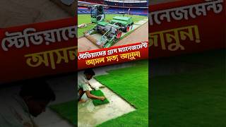 The Secret Behind Football &amp; Cricket Pitch Grass | স্টেডিয়ামের শক্ত ঘাস কীভাবে বানানো হয় ? #ytshorts
