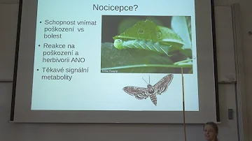 Jak jsou pobřežní rostliny přizpůsobeny výškám?
