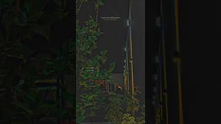 Story Wa Lirik Lagu Viral Tiktok 30 Detik  Melihatmu Genggam Tangannya Nyaman Dipelukannya