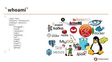 Developing an App on MongoDB, Tips and Tricks - MongoDB Tutorial