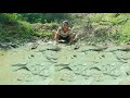 Amazing Fishing! Unique Unbelievable Beautiful Girl Catch Fishing At Canal In Deep Mud