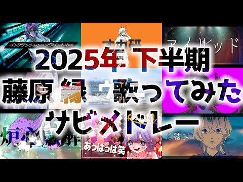 2025年下半期歌ってみたサビメドレー