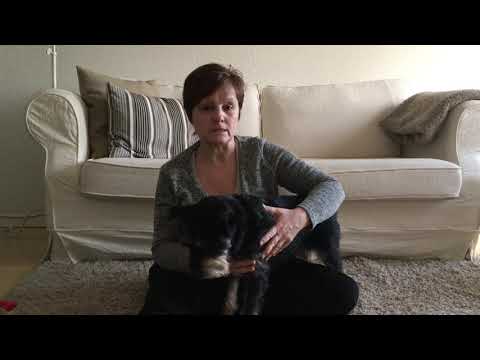 Video: Slidgigt, Gigt - Hunde - Degenerativ Ledsygdom