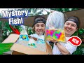 BUYING Our Most EXPENSIVE MYSTERY FISH... (What's Inside?)