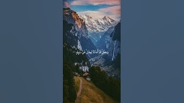 وَإِذَا مَسَّ الْإِنْسَانَ ضُرٌّ دَعَا رَبَّهُ || سورة الزمر || علي جابر
