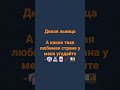 дикая львица#shorts