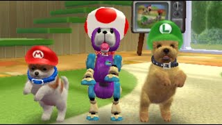 Nintendogs + Cats Everything Mario Themed! (Thanks so much for 4K!!)