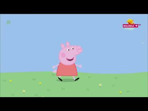 Świnka Peppa Mistrz