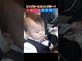 #リングガール #リングボーイ#結婚式 #赤ちゃん #双子