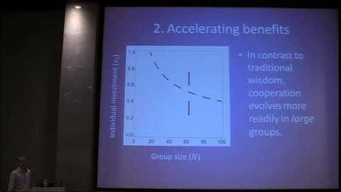 Åke Brännström: The role of synergy and group size in the evolution of cooperation
