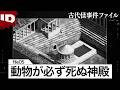 【科学で解明】古代からの怪事件、人間以外が死ぬ宮殿の謎が科学技術で明らかに| 古代怪事件ファイル Ep.5 (ID Investigation Discovery)