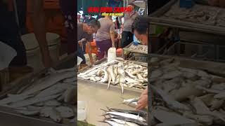 Ikan Baru Sdanai pasarikan nelayan mukah sarawak borneo malaysia