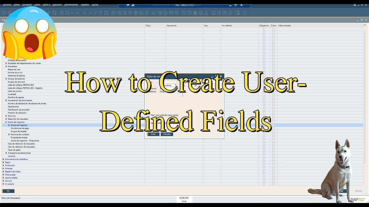 SAP Business One Guide: How to Create User-Defined Fields to Streamline ...