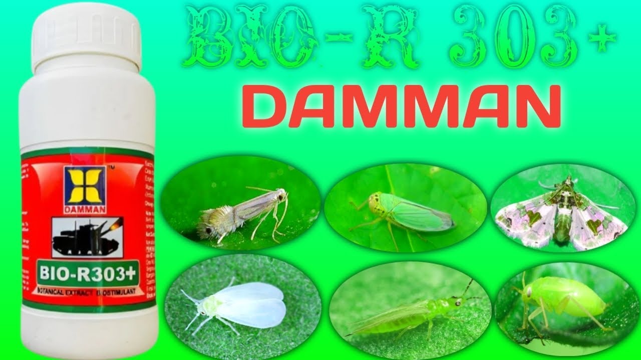 BIO-R 303 Ka Use Ko Sai Fasal Mai Kare| Eska Dose Or Price Kya Hai ...