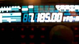 Omiss 40M Late Net
